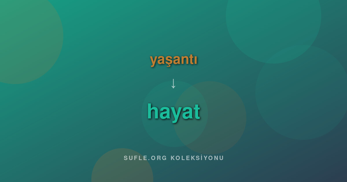 yaşantı vs hayat